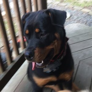 Meet your Posher, Tracy